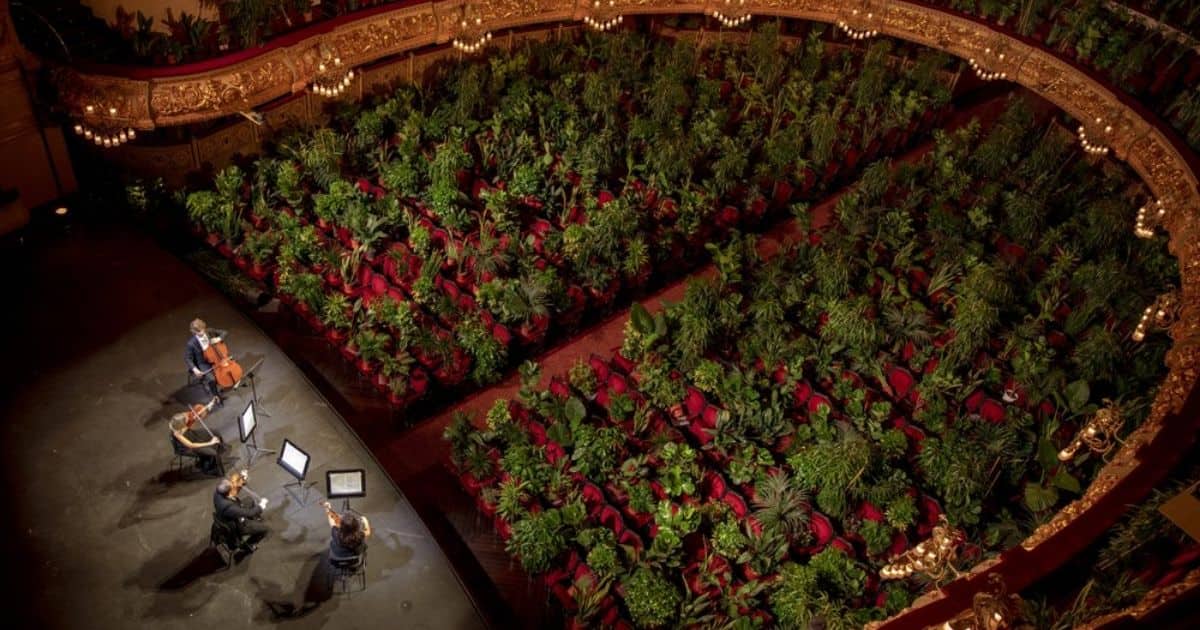The Gran Teatre del Liceu reopens its doors, in which the 2,292 seats of the auditorium will be occupied on this occasion by plants. Image from AP Photo/Emilio Morenatti