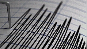 Undersea earthquake of 7.7 magnitude sets off small tsunami in South Pacific islands