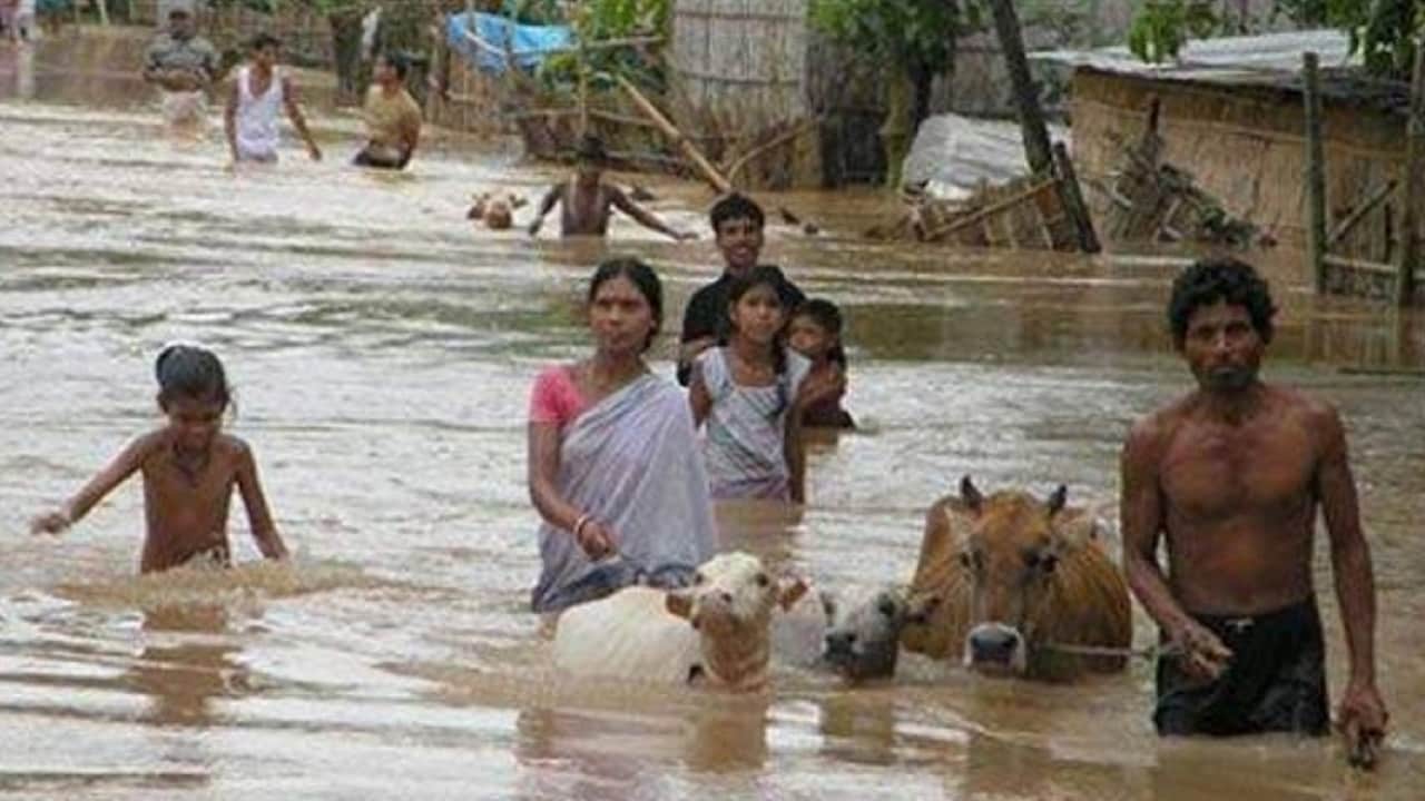 case study on flood in assam and bihar
