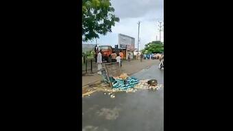 Video of Indore municipal staffer pushing 12-year-old egg-seller's handcart goes viral