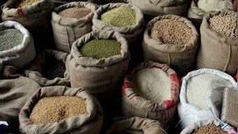 Centre announces start of paddy procurement at MSP in Punjab and Haryana 'with immediate effect'