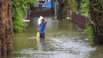 Mumbai, Thane, Palghar likely to receive very heavy rainfall over 24 hours; IMD issues 'orange' alert for Vidarbha