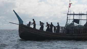 Case of the disappearing hilsa: Prized catch eludes fishermen's nets in Bangladesh's peak season