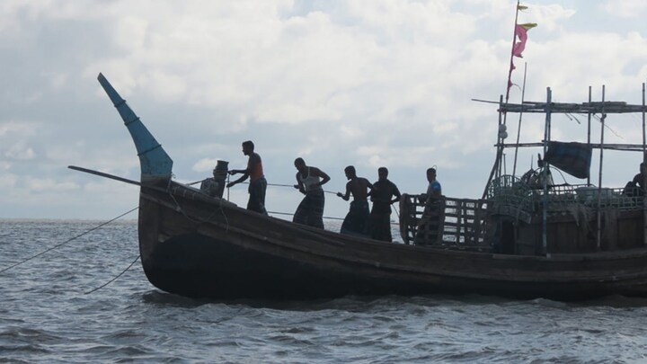 Case of the disappearing hilsa: Prized catch eludes fishermen's nets in Bangladesh's peak season