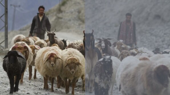 Nomadic nature of Pakistan's Bakarwals in danger, as community faces weather, administrative issues