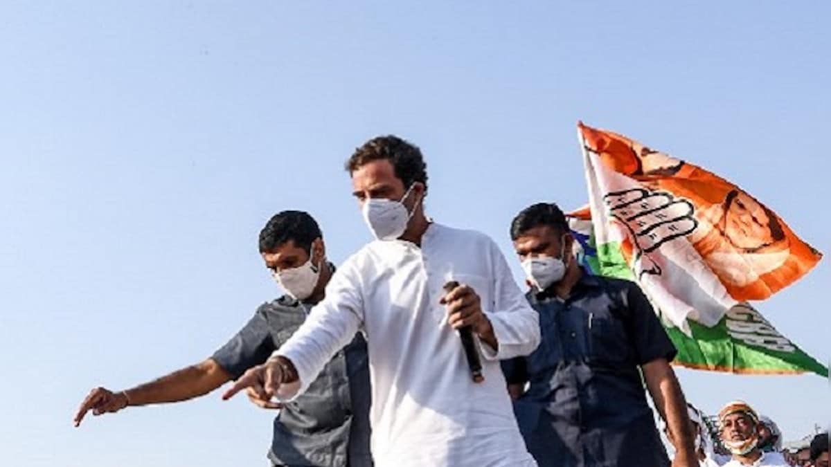 Farm laws protests: Rahul Gandhi to hold second round of tractor rallies in Haryana on 6, 7 October