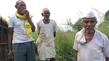 Maharashtra polls: Yavatmal's Adivasi farmers 'prepared to fight' as govt's promise to fix land rights issue falls flat