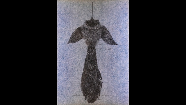 TARQ. Rothschild's Bird, 2020