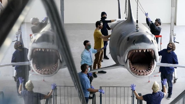 Jaws replica shark model restored, installed at Academy Museum of Motion Pictures Jaws replica shark model restored, installed at Academy Museum of Motion Pictures