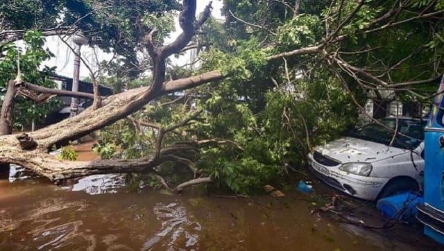 Cyclone Nivar claimed four lives in Tamil Nadu and Andra Pradesh combined when it hit the southern states on Thursday. PTI
