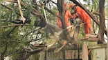 Cylone Nivar: Four dead in Tamil Nadu, Andhra; storm weakens into deep depression, says IMD