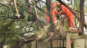 Cylone Nivar: Four dead in Tamil Nadu, Andhra; storm weakens into deep depression, says IMD