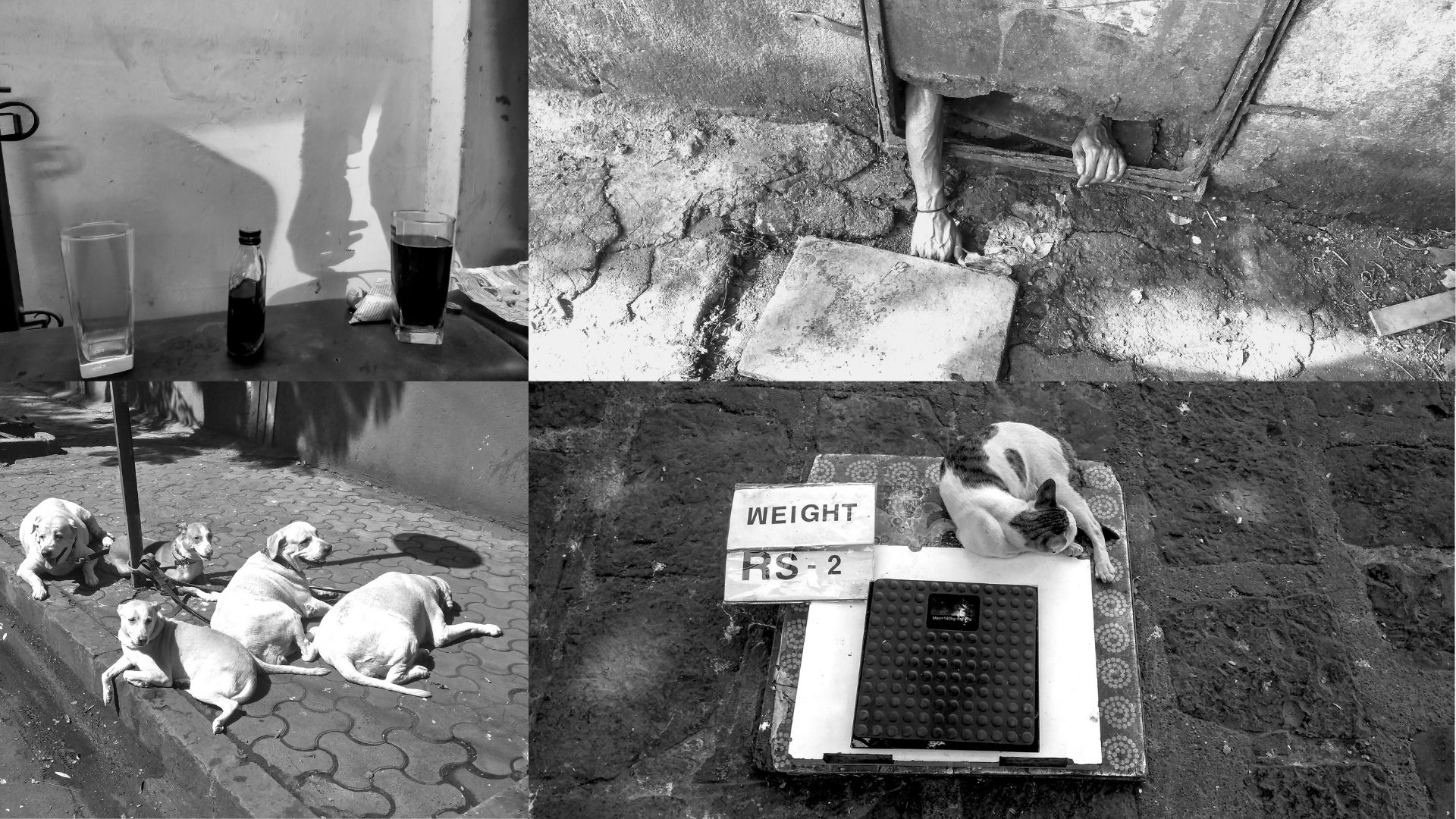 In Mumbai Monochrome, photography and haiku conjoin to explore the unfamiliar in the mundane In Mumbai Monochrome, photography and haiku conjoin to explore the unfamiliar in the mundane