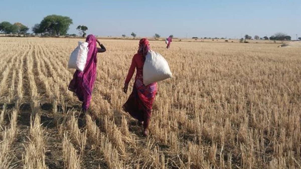 To give the (unseen) woman farmer a land of her own