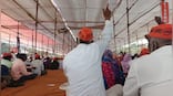 'Protesting to protect our bread and butter': Farmers at Azad Maidan say MSP, mandis crucial to sustain families