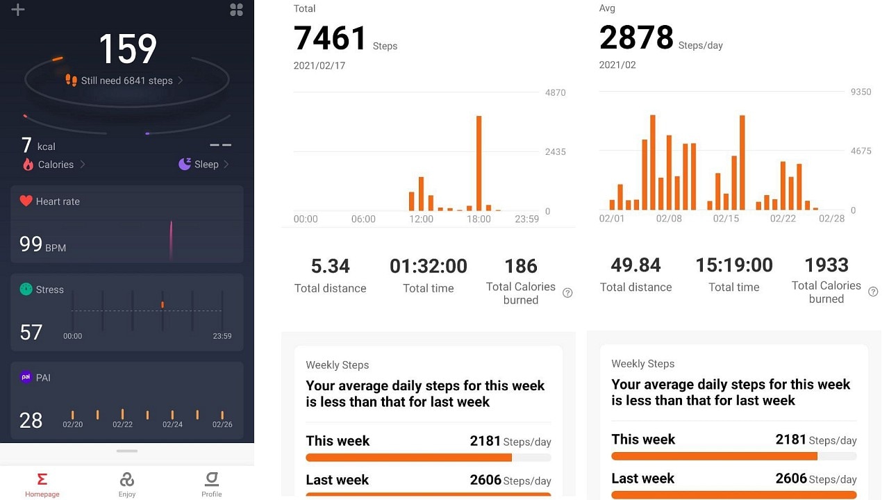 Zepp App fitness tracking