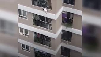 'Superhero' delivery man catches toddler after she falls from 12th floor of apartment building in Vietnam's Hanoi
