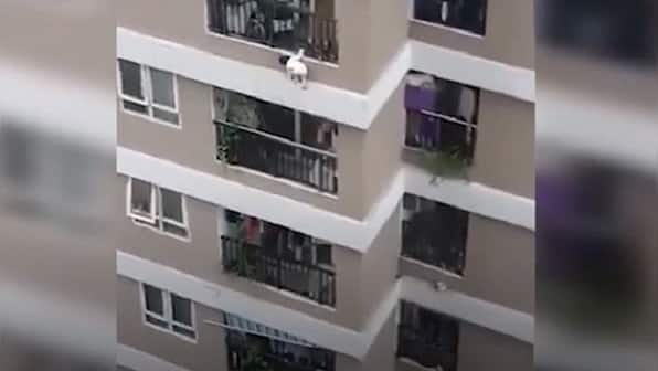 'Superhero' delivery man catches toddler after she falls from 12th floor of apartment building in Vietnam's Hanoi