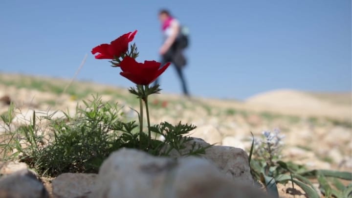 A Million Steps for Love: Exhibition captures moments from a documentary on pilgrimage of 'love' to Jerusalem