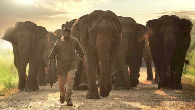 Still from Aranya
