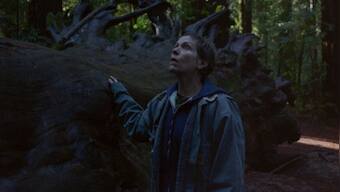 Nomadland movie review: Chloé Zhao's sanitised portrait of forgotten wanderers on the American frontier