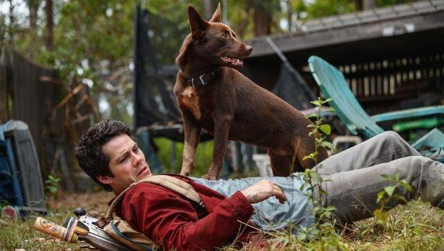 Still from Love and Monsters. Image from Twitter