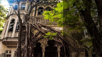 'Eccentrics washed up here': Shabnam Minwalla’s book highlights diversity that characterises Mumbai's Colaba