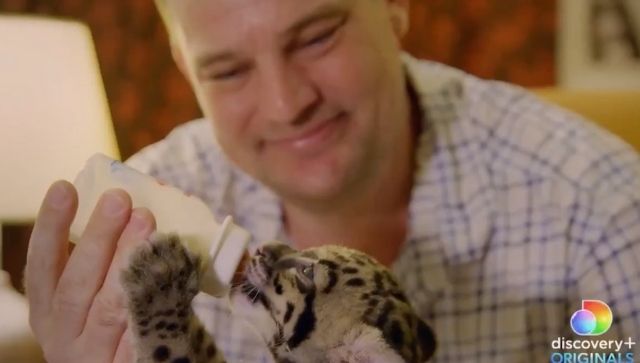 Endangered, the Ellen DeGeneres-narrated docu on Discovery+, is an immersive study on nature conservation Endangered, the Ellen DeGeneres-narrated docu on Discovery+, is an immersive study on nature conservation