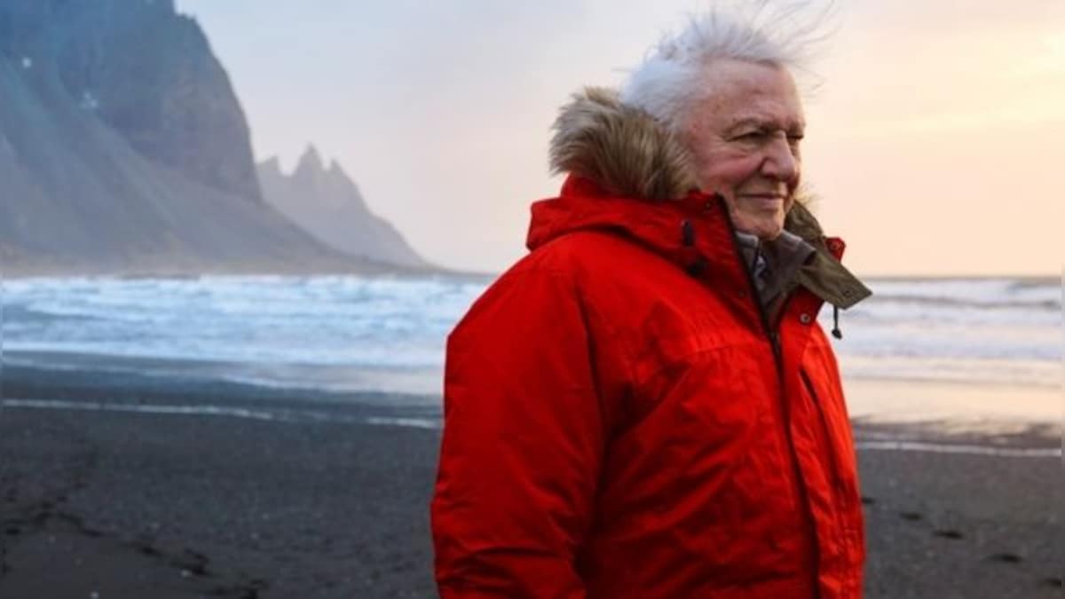 David Attenborough to address political leaders at UN summit about tackling 'crippling' threat of climate change