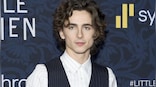 Timothée Chalamet to play Willy Wonka in origin story backed by Warner Bros