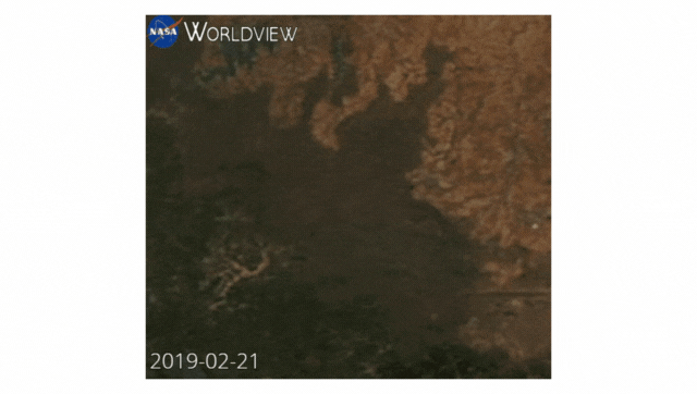 Colour satellite animated image of Bandipur National Park, Karnataka, India. Wildfire from 21 February 2019 to 26 February 2019. Smoke from forest fires is visible. Satellite imagery from NASA (Terra satellite MODIS sensor)/Wikimedia Commons.