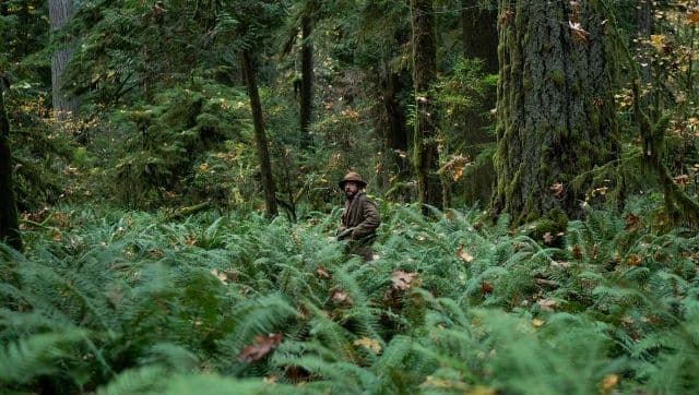 The forest is intimidaring in its grandeur