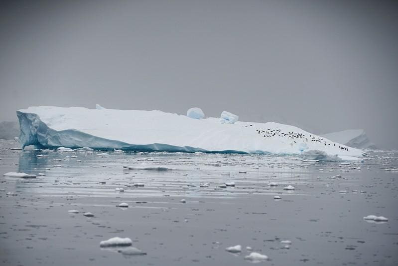 Antarctica's melt quickens, risks metres of sea level rise - study ...