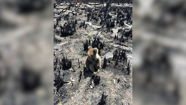 Australian government says to support tourism industry as bushfires recede