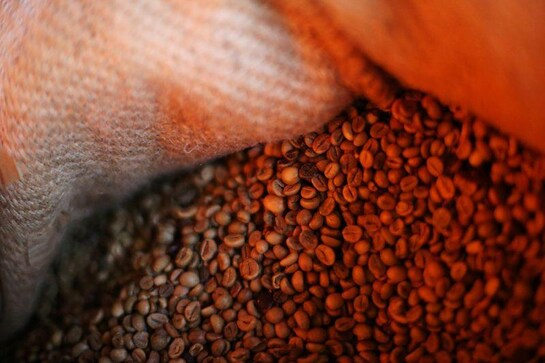 Little evidence coffee companies' sustainability efforts have impact - report Little evidence coffee companies' sustainability efforts have impact - report