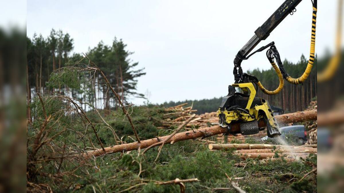 Tesla resumes tree cutting in Germany to build Gigafactory – Firstpost