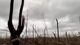 Alabama tornadoes kill 23, including 3 children; like 'giant knife'