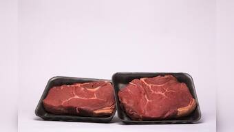 Exclusive: U.S. to issue meat company guidelines as recalls mount - official