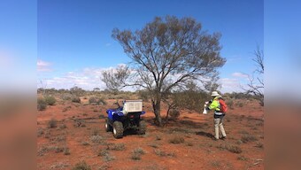 Undercover Down Under: Miners study gum leaves, groundwater for new finds
