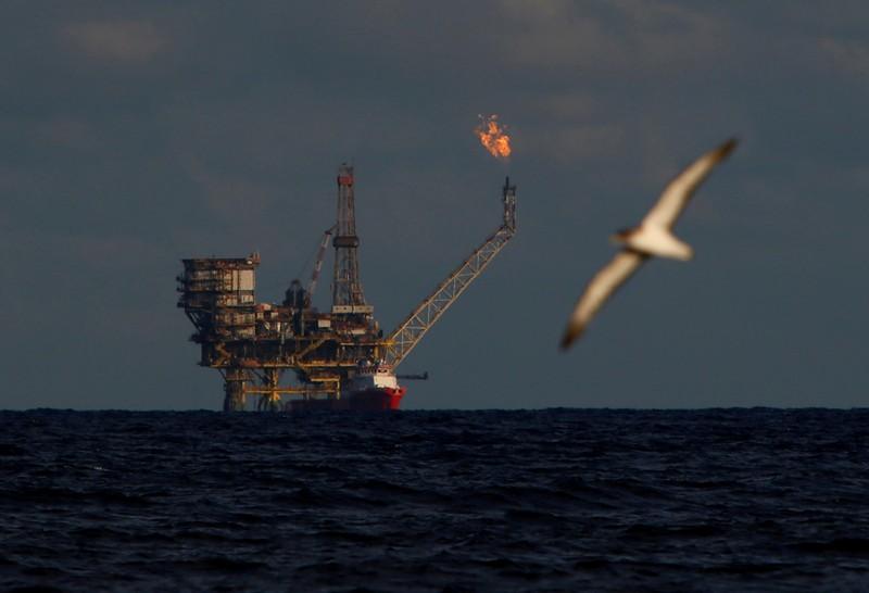 Oil prices rise amid broad market rally, OPEC supply cuts Oil prices rise amid broad market rally, OPEC supply cuts