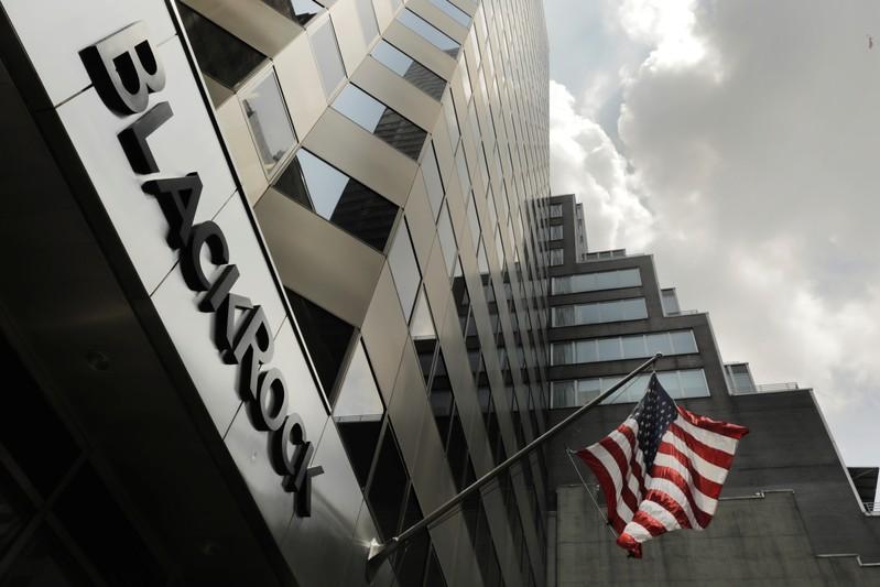 BlackRock to buy French software firm eFront for 13 billion in cash