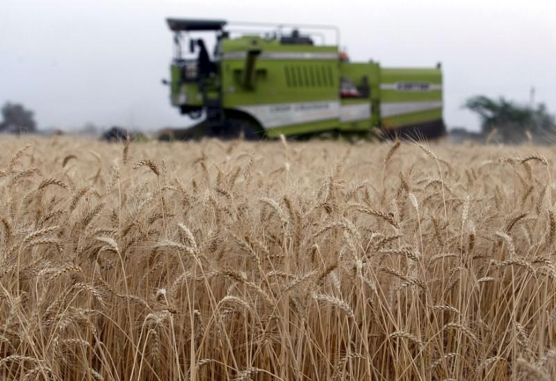 India aims to produce record 283.7 million tonnes of grains next year