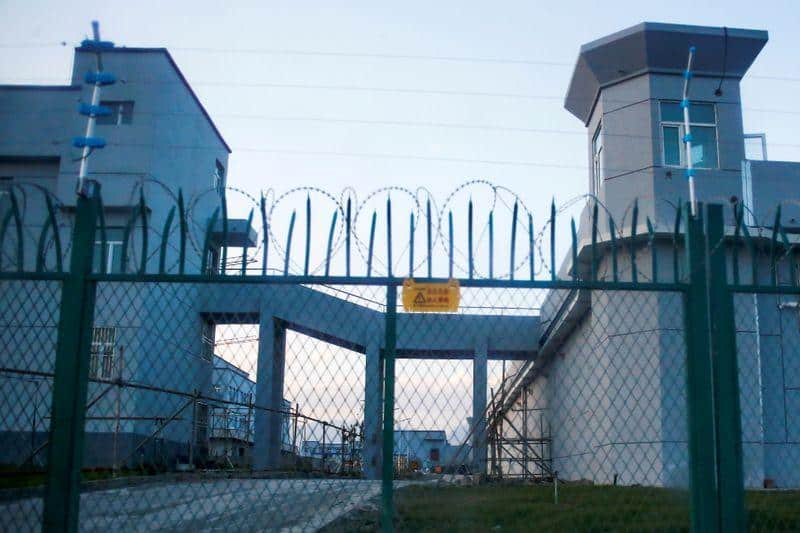 China’s Xinjiang actions could be crimes against humanity, says rights group