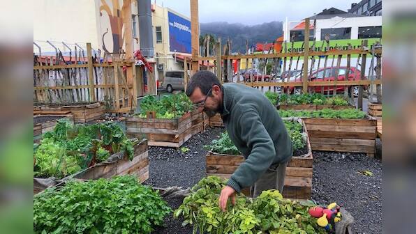 Left behind: why boomtown New Zealand has a homelessness crisis