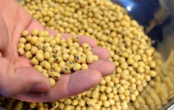 In U.S. soybean splurge, Beijing faces tough sell to saturated market