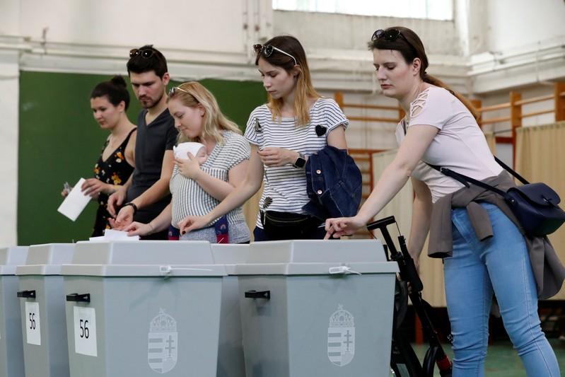 EU vote turnout estimate at around 50