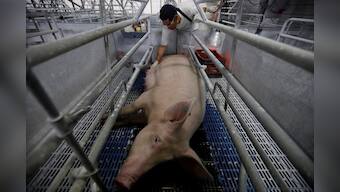 Mexico retaliates against US tariffs and Donald Trump rhetoric; slaps duties on pork, bourbon, apples, potatoes