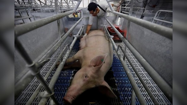Mexico retaliates against US tariffs and Donald Trump rhetoric; slaps duties on pork, bourbon, apples, potatoes