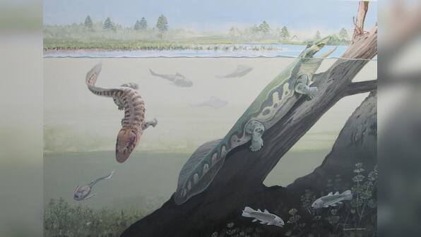 South African fossils rewrite early history of life on land