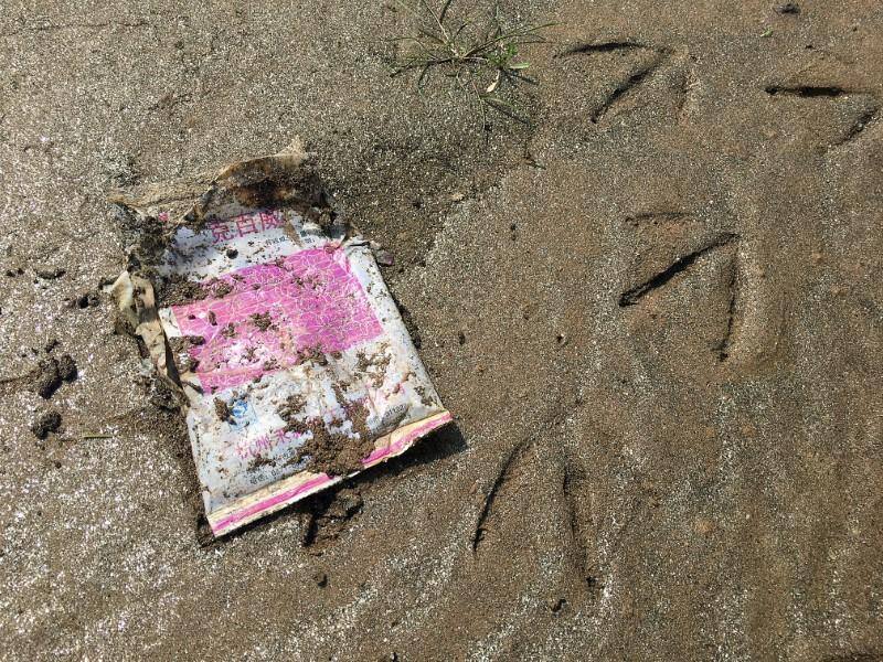 Flying squad: With drones and machetes, China’s green vigilantes combat bird poachers